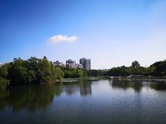 -新江湾城公园