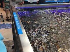 -盒马鲜生(大成店)