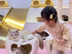 -爪爪喵星球·猫舍(前海卓越店)