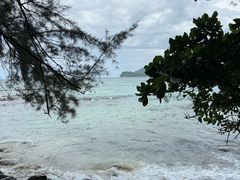 -东姑阿都拉曼海洋公园