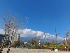 -洱海月湿地公园