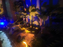 点击看大图 -恐龙探索乐园(磁器口店)