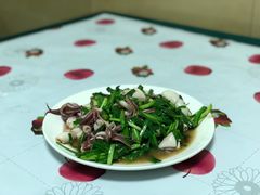 梧桐花炒韭菜-新乡饭店