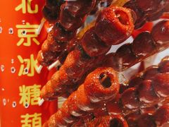 -和禄德冰糖葫芦