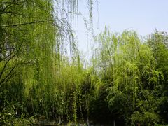 -荆川公园