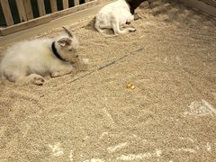 -瑞虹新天地月亮湾