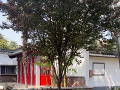 -西苑公园