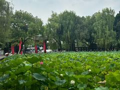 -四川大学(望江校区)