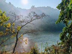 -莫里热带雨林景区