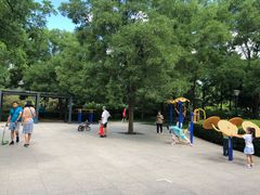 -玲珑塔公园