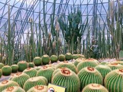 -深圳市中科院仙湖植物园