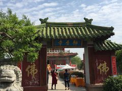 -曹州牡丹园