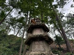 -黔灵山公园