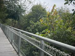 -佛山华盖山公园
