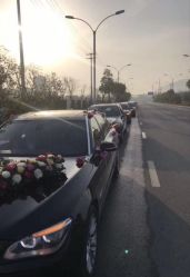 -蚂蚁婚车