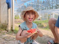 -前小桔亲子创意农场·草莓采摘·露营烧烤