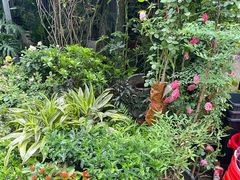 -循礼门鲜花花市(武汉循礼门店)