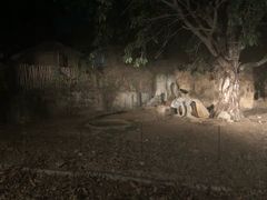 -清迈夜间动物园