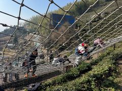 -长沙黑麋峰国家森林公园
