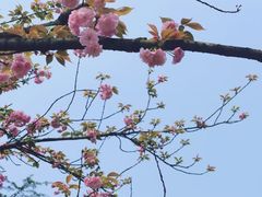 -重庆中央公园(渝北区)
