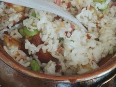 -姚记抚仙湖野生菌石锅鱼庄