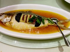 清蒸鲥鱼-圆苑(上海广场店)