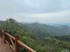 -大岭沟猕猴桃谷风景区