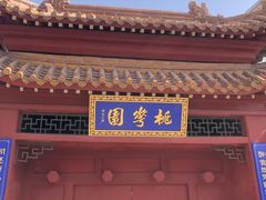 -桃花堤公园