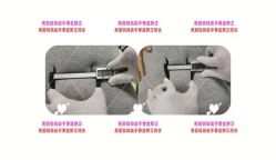 -亮丽妈妈·催乳通乳·产后恢复(万达店)