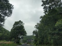 -将军关探险漂流