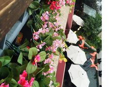 -周三的情书花园餐厅(江北店)