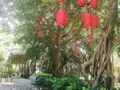 -揭东万竹园旅游景区