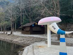 -龙湾潭国家森林公园