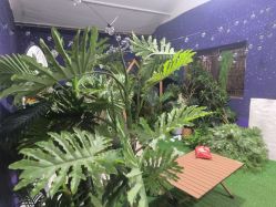 -水晶BABY儿童摄影(世界公园店)