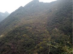 iphone_upload_pic-七曲山风景区