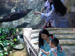 -南昌海洋公园