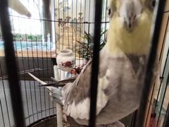 -阜昌典当行(阜成门店)