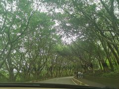 -广州莲花山旅游区