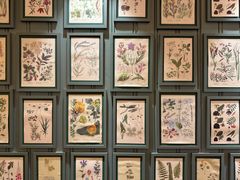 -赵小姐的店(中山路店)