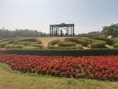 -东莞植物园