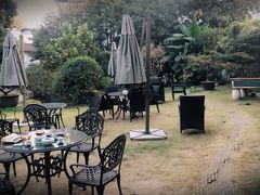 -大可堂普洱茶馆(襄阳南路馆)