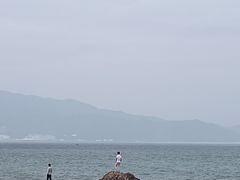 -杨梅坑