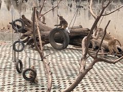 -西安秦岭野生动物园