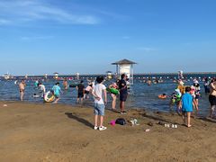 -碧海金沙