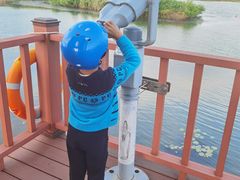 -芒洲湿地公园