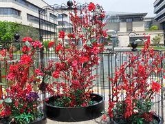 -大雁塔北广场音乐喷泉