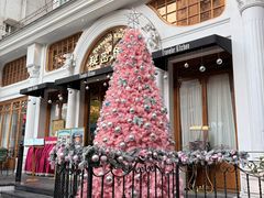 -秘密旅行Bonjour(黑金冠 江南西店)