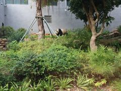 -石排湾郊野公园