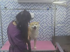 -宠颐生宠物医院·心肾内科·猫专科诊疗中心宠巢店