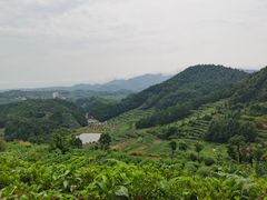 -乌石村